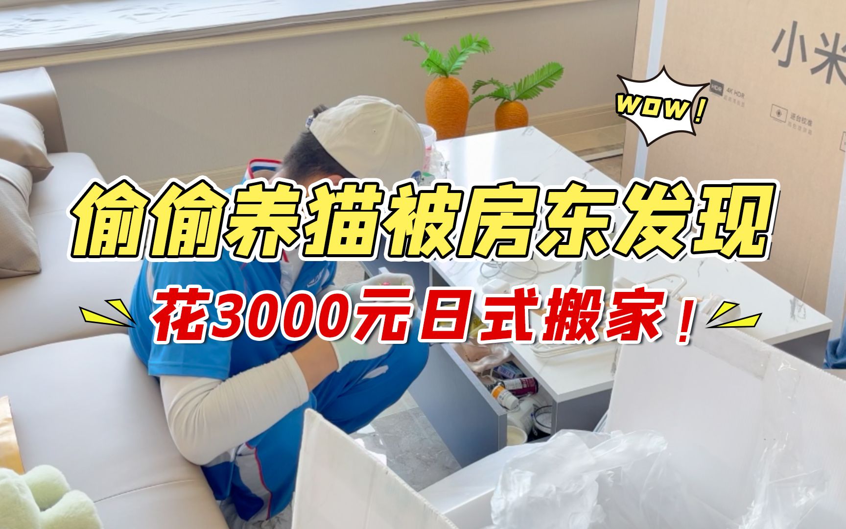 房东发现租客养猫要求当天搬走,小姐姐紧急求助我们日式搬家,是什么样的服务,让房东反退小姐姐3个月租金?哔哩哔哩bilibili