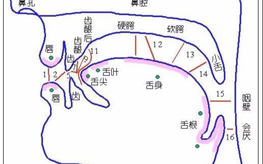 【100小时练声计划】【14/100】nee和neh!哔哩哔哩bilibili