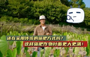 Download Video: 还在采用传统的施肥方式吗？这样施肥作物叶面更大更满！