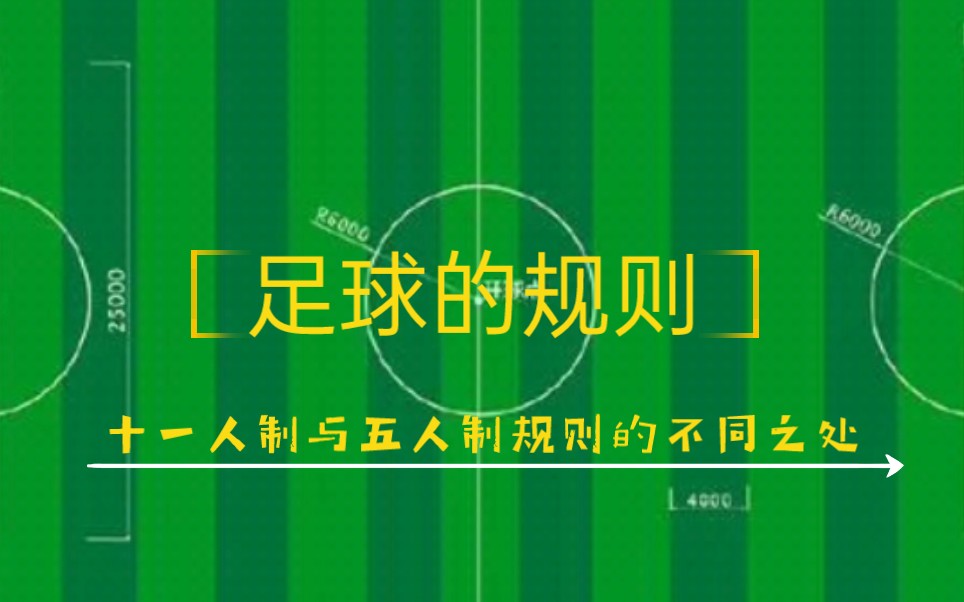 四秒五米?回传球?超人战术?进来了解一下.哔哩哔哩bilibili