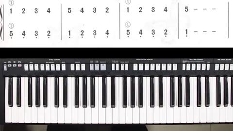 怎么学电子琴 中老年人电子琴自学课程 左右手协调练习 第二讲 自学电子琴教程视频 哔哩哔哩 Bilibili 怎么学电子琴 中老年人电子琴自学课程 左右手协调练习 第二讲 自学电子琴教程视频 哔哩哔哩 Bilibili