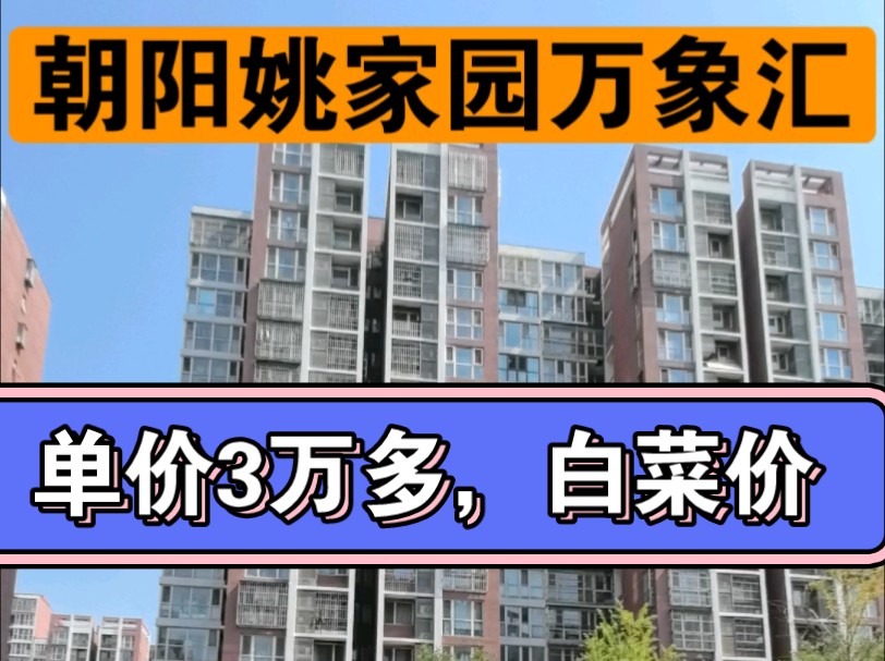 朝阳东四环青年路万象汇商场300米,姚家园东里7号院小区,一居67平米,总价200万,两居87平米总价305万,小区周边地铁高铁学校商场一应俱全,随时...