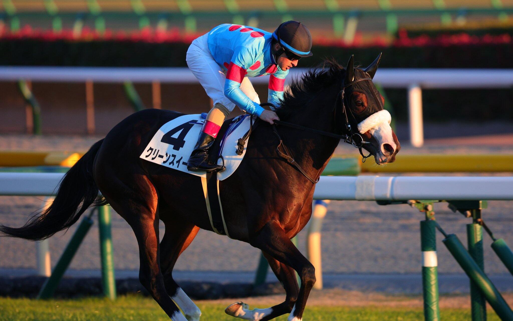 【日本赛马】11月27日 东京12r 3岁以上二胜 クリーンスイープ(全胜)