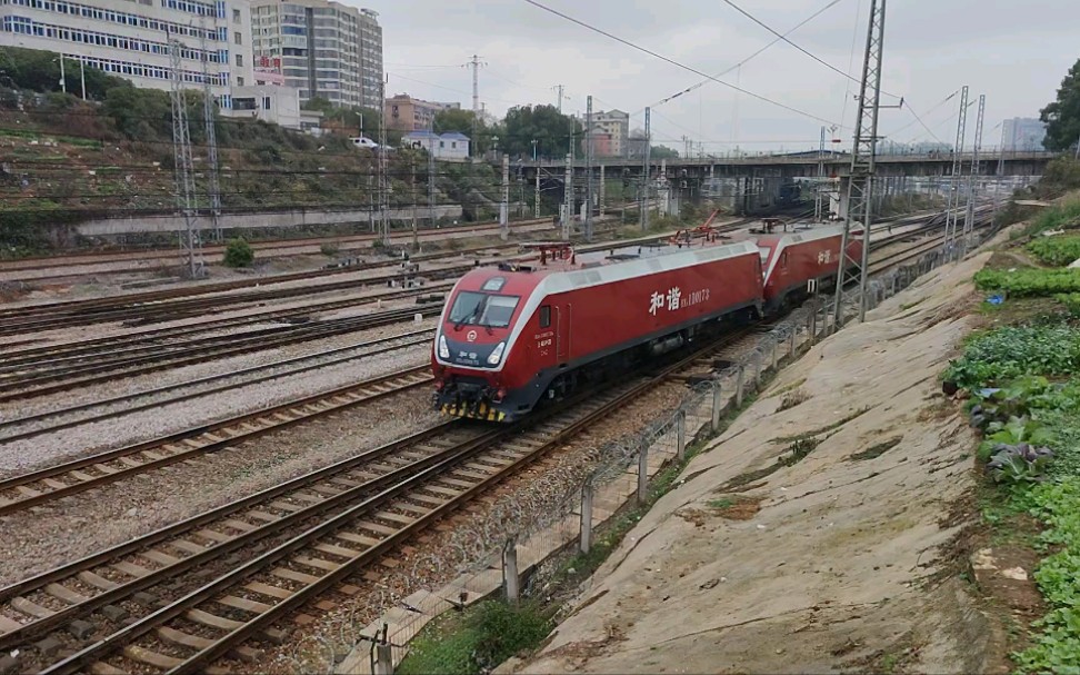 50833(hxd1d_0173 hxd1d_0593)