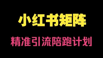 教你从0到1玩转小红书矩阵精准引流陪跑计划视频教程（钟小玲）