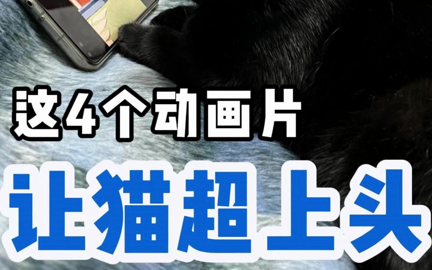 分享四个让猫超上头的猫咪动画片!哔哩哔哩bilibili