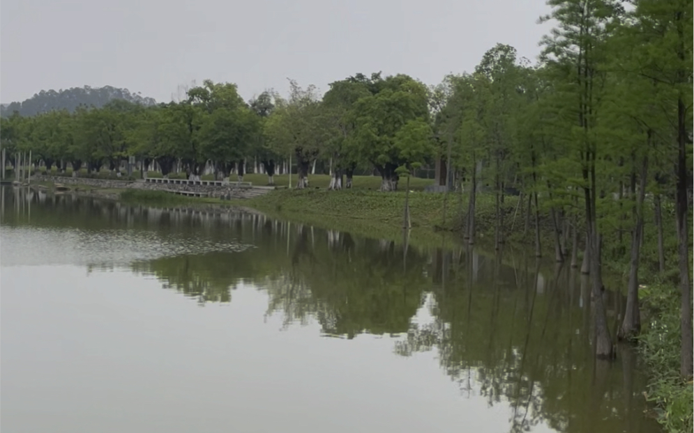 [图]天青色等烟雨，去公园里踏青