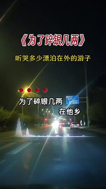 唱出了多少人的心酸和无奈 #在外漂泊的人 #游子思乡