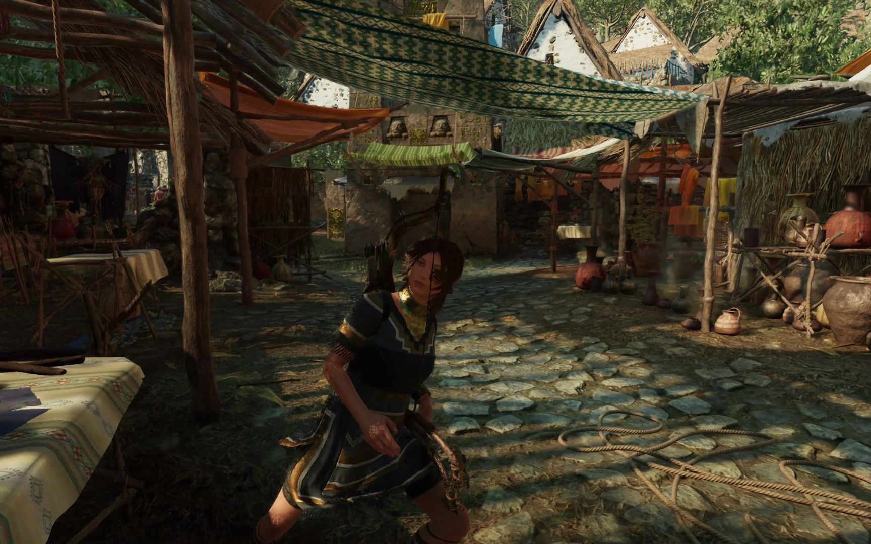 古墓丽影暗影(14)