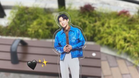 搜索 哔哩哔哩 つロ 干杯 Bilibili