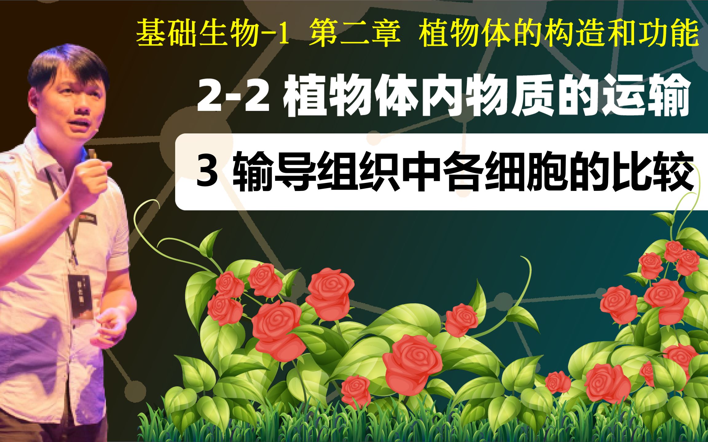 基础生物学 22.3 植物的输导组织中各细胞的比较表格哔哩哔哩bilibili