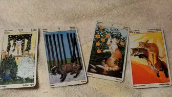 有缘者入系列之ta的想法＋你的未来一个月感情运~现场抽牌~