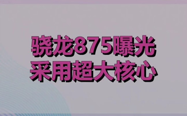 高通骁龙875芯片曝光哔哩哔哩bilibili