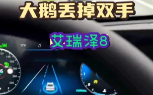 Download Video: 大毛体验艾瑞泽8辅助驾驶，丢掉双手竖起大拇指！