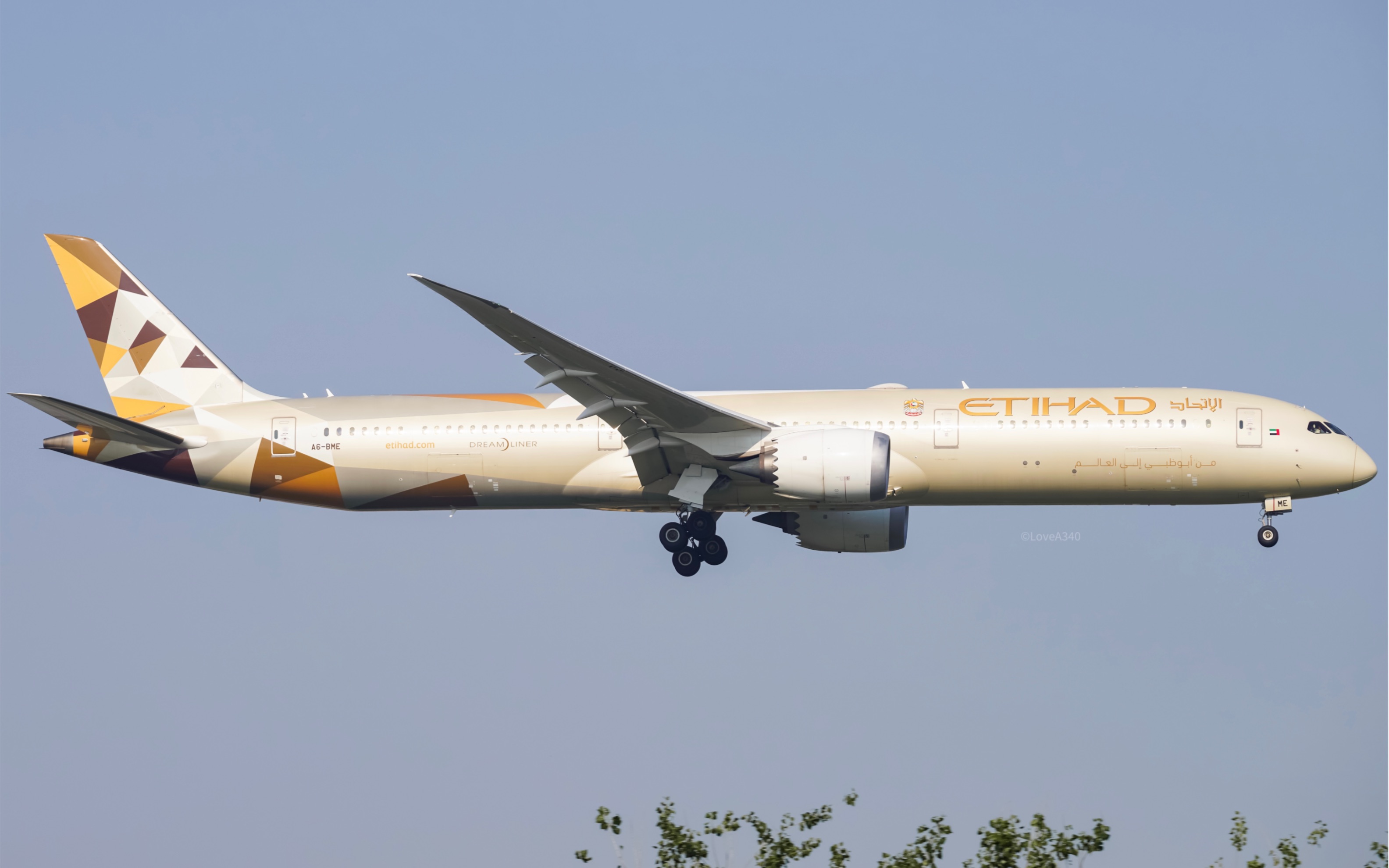 阿提哈德航空波音787-10 a6-bme 落地首都机场跑道36r_哔哩哔哩_bili