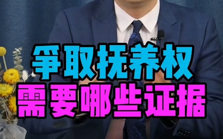 【法律咨询】争取小孩抚养权,需要哪些证据呢?哔哩哔哩bilibili