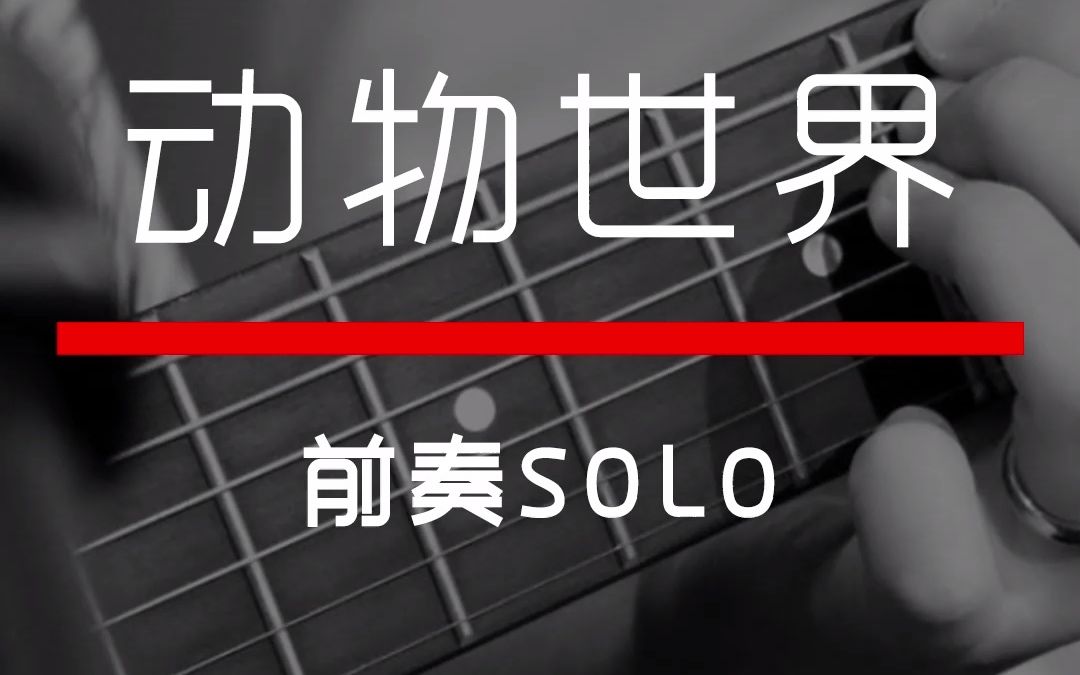 [图]动物世界 吉他solo 春天到了 又到了动物那个啥的季节