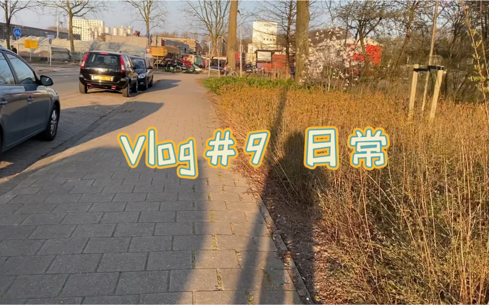 Vlog#9 荷兰留学日记|代尔夫特理工大学|TPM PhD Days哔哩哔哩bilibili