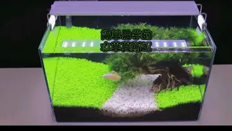 小型桌面水草缸 哔哩哔哩 Bilibili