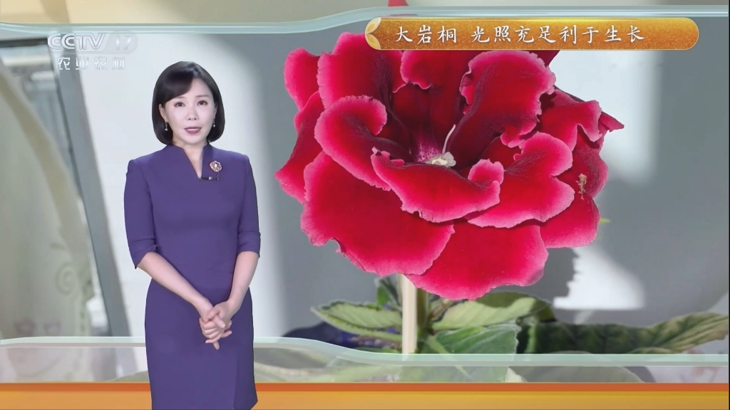 cctv農業天氣建華2023 0214