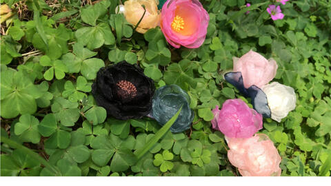 有这朵花在发丝上,你就是这条街最萌的妹纸