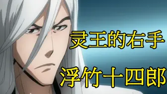 死神十三番队长灵王的右手之浮竹十四郎技能合集 哔哩哔哩 Bilibili