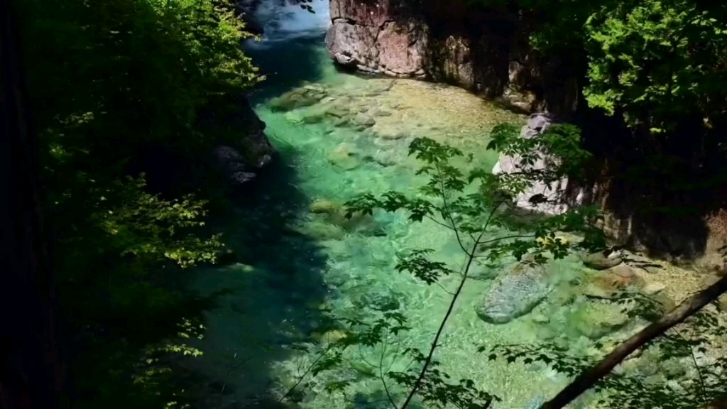 [图]草木生欢喜 山水解忧愁