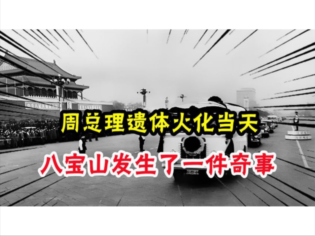 1976年,周总理遗体火化当天,举国哀痛,八宝山发生了一件奇事哔哩哔哩bilibili