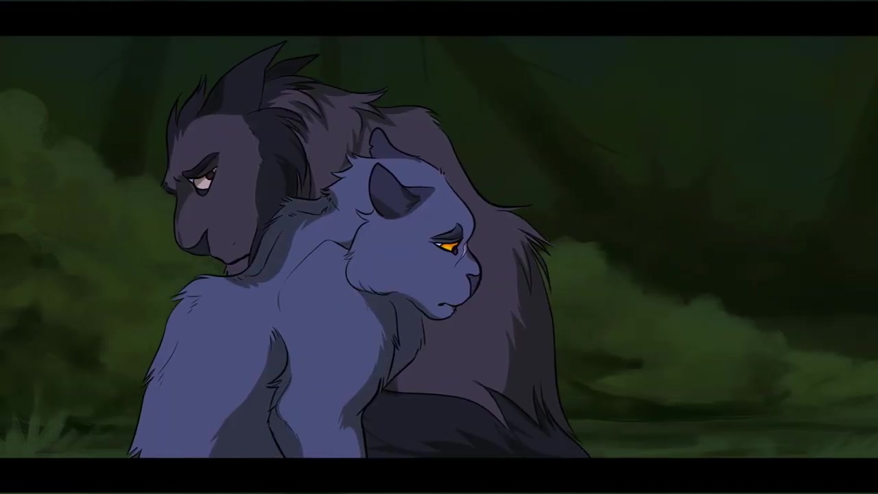 【猫武士】断星-dreams