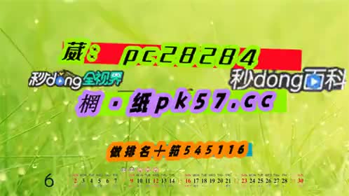 5种讲解加拿大pc28规则[2024你懂的]