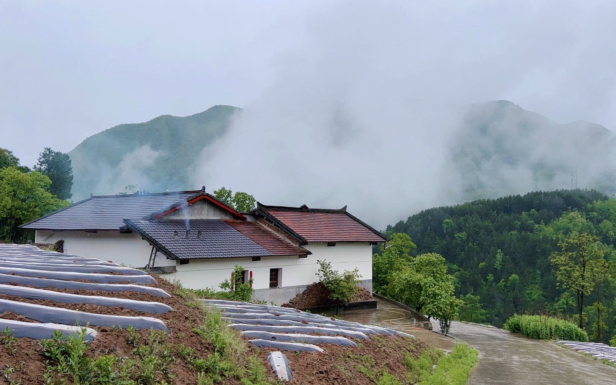 天青色等烟雨炊烟袅袅升起