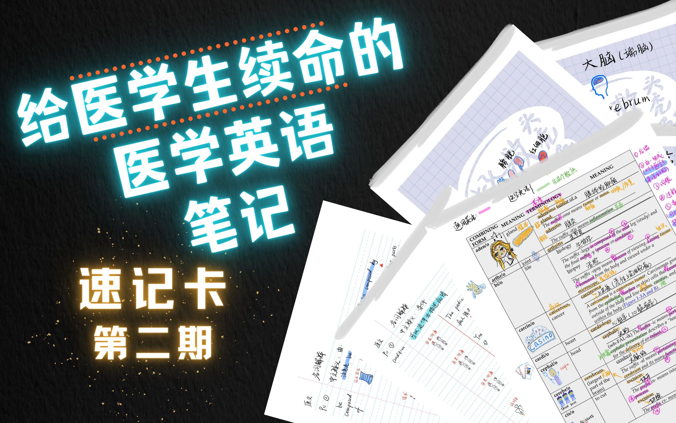 医学英语速记2|The Language of Medicine 第一章P11笔记及拓展哔哩哔哩bilibili