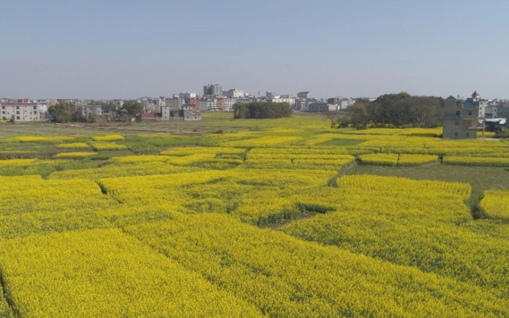 上饶鄱阳县农村风光