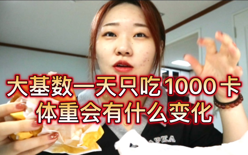 150斤大基数一天吃1000卡体重会有什么变化 一天轻了3.2斤!吃炸虾汉堡 鸡腿 饭团 韩国留学VLOG哔哩哔哩bilibili