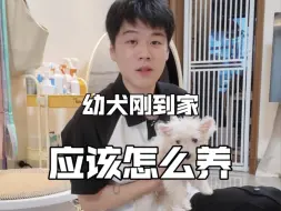 下载视频: 幼犬到家，只要这么做就能养出乖狗狗