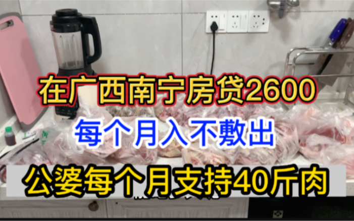 一家三口在广西南宁,月入1万入不敷出,公婆每个月支持40斤肉!哔哩哔哩bilibili