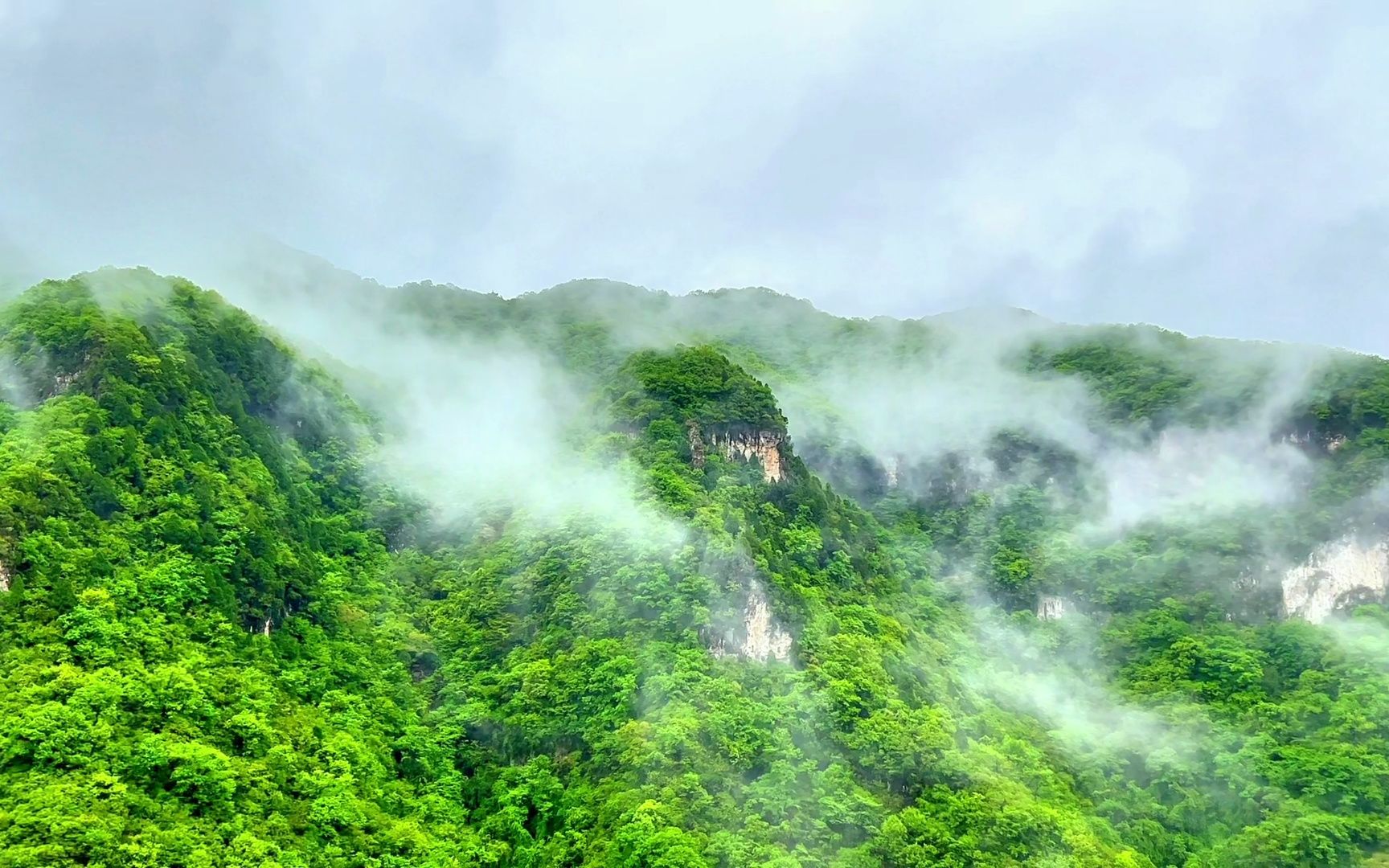 云台山将迎持续云海天气!下雨天一定要来云台山“看海”!哔哩哔哩bilibili