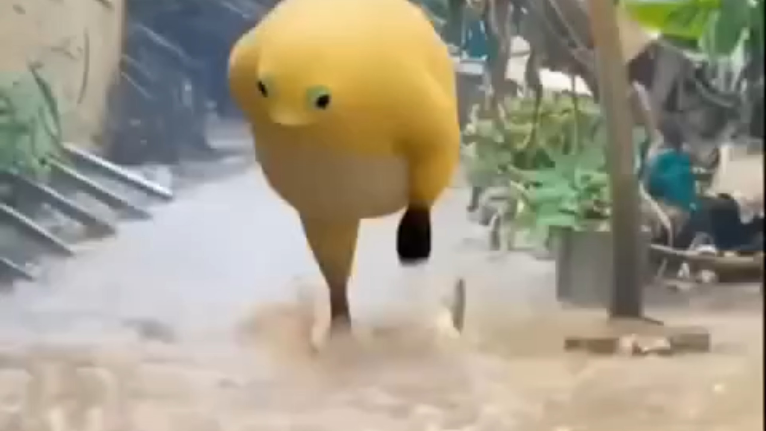 在雨中漫步