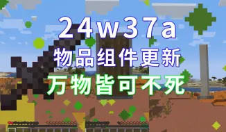 Download Video: [24w37a新版快照]万物皆可不死图腾！指令&数据包更新-我的世界指令