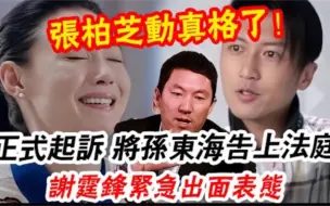 Download Video: 张柏芝动真格了！正式起诉孙东海，指控内容出乎所有人意料