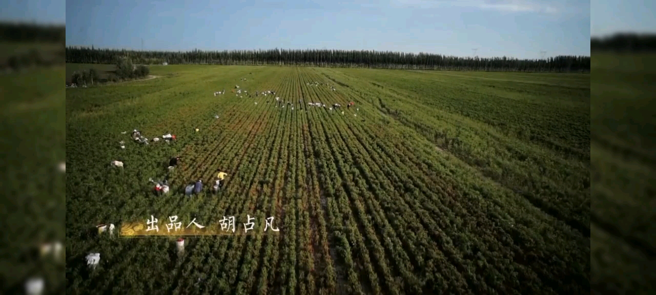 [图]舌尖上的中国2背景音乐