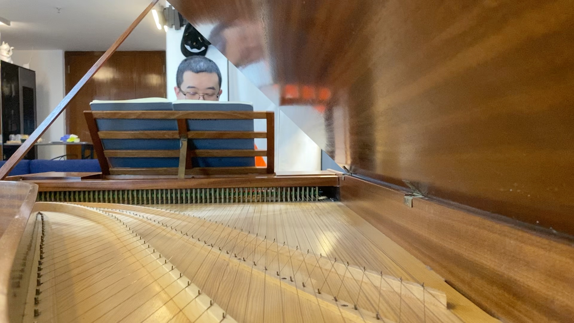 【工作室新到羽管键琴初试水】弹一小段亨德尔的帕萨卡利亚_哔哩哔哩