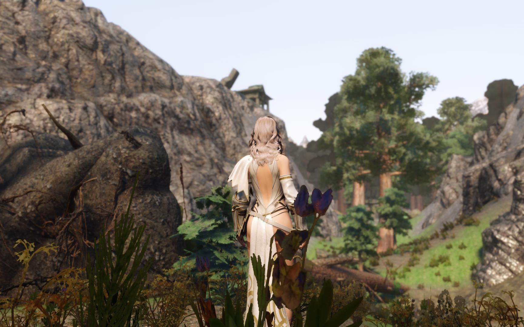 上古卷轴525阿卡维尔之不朽的诅咒第三代主角之墓