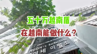 Download Video: 五十万越南盾在越南能干啥？