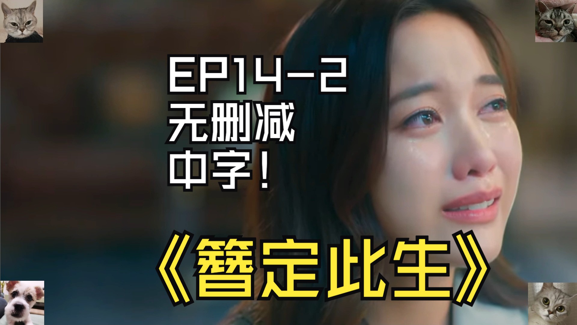 簪定此生EP142无删减中字真的再也不想见了吗?哔哩哔哩bilibili