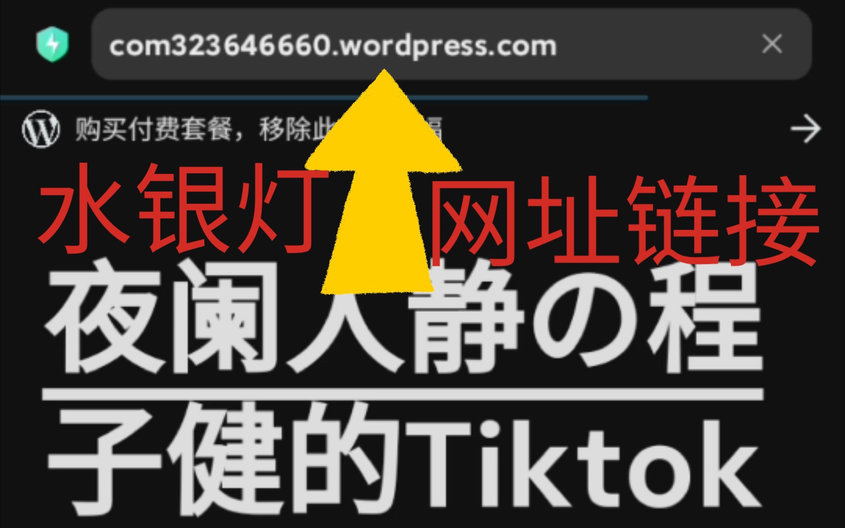 我用WordPress做了一个属于我自己的网站.它的名字叫水银灯.但浏览器的显示名称为:水银灯,什么都有.(网址链接在简介里)哔哩哔哩bilibili