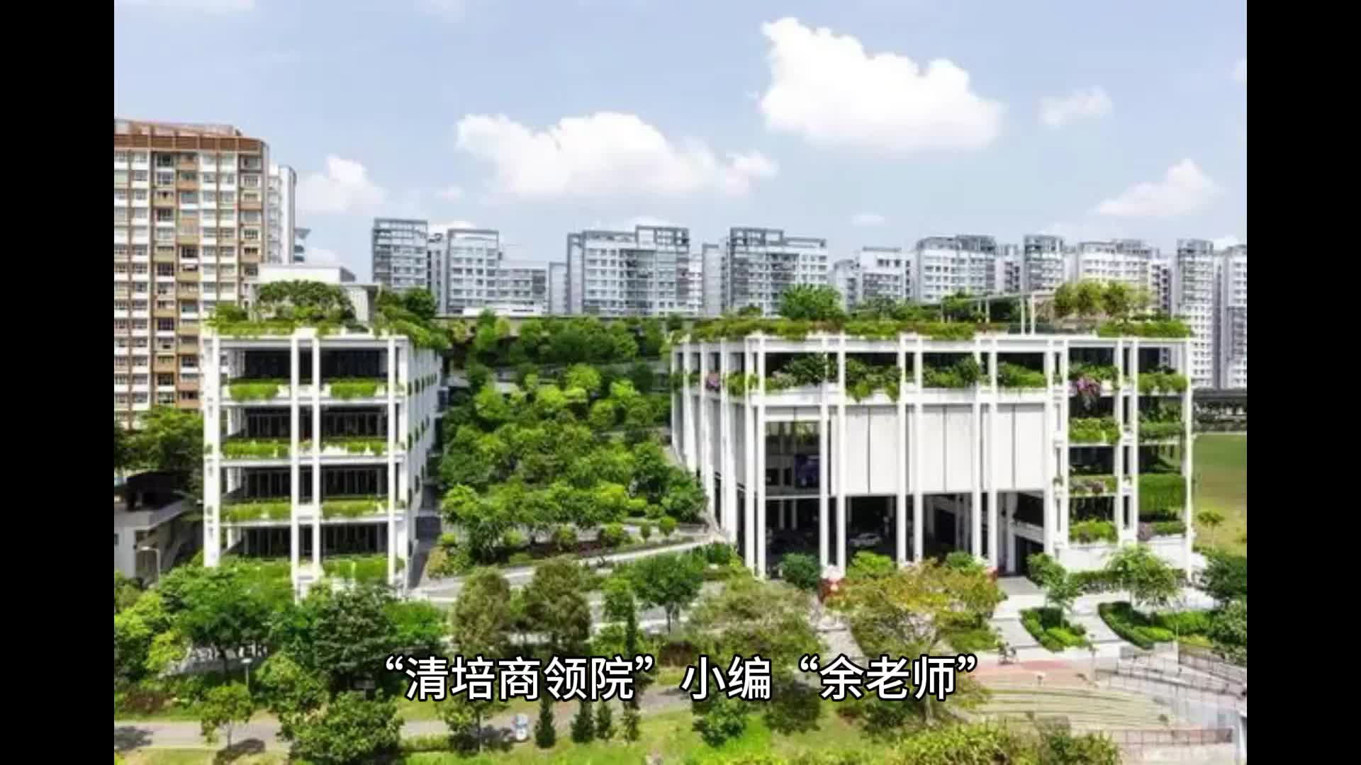 深挖新加坡南洋理工大学高级访问学者项目的显著优势