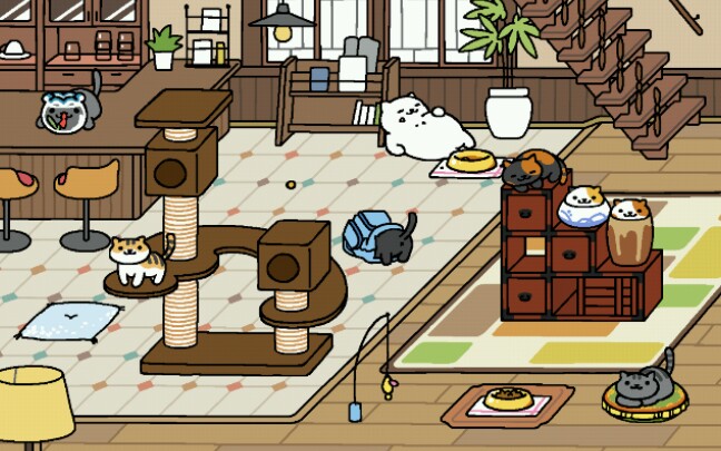 【猫院记录18】《猫咪后院》新的三张壁纸呐!世界上最幸运的猫狐来了!