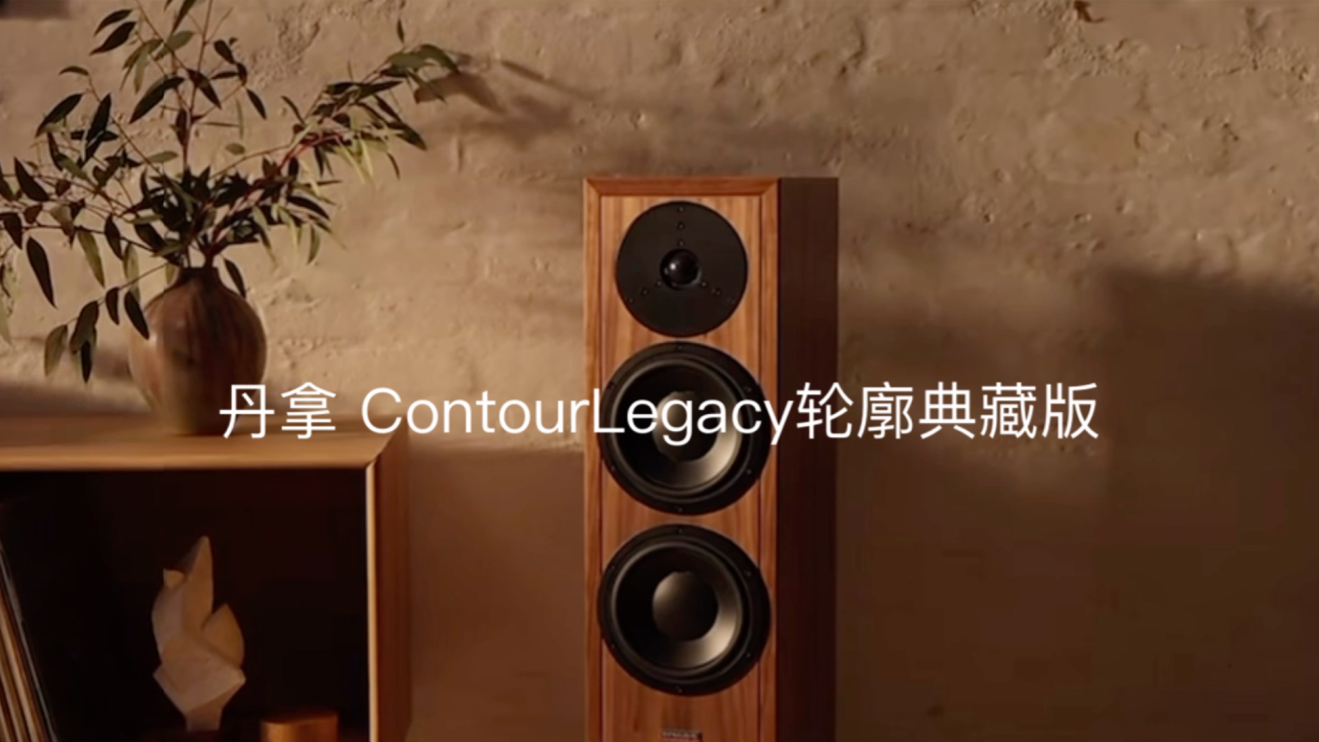 Dynaudio ContourLegacy 丹拿轮廓典藏版,新品上市.哔哩哔哩bilibili