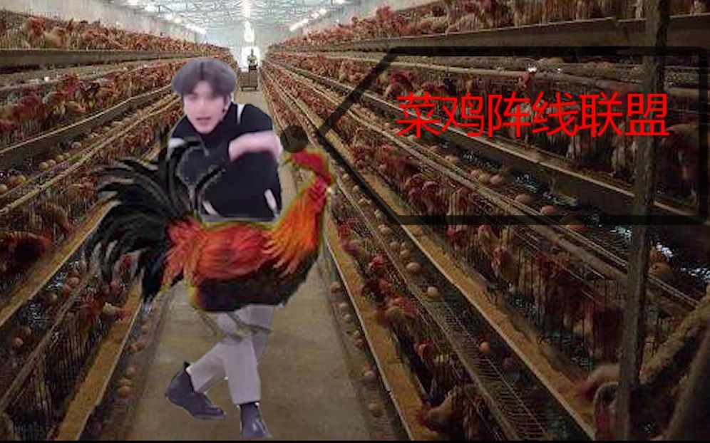 蔡徐坤蔡鸡阵线联盟重制